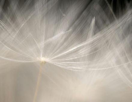 Leichtigkeit – warum sie so viel mehr ist als ein schönes Wort